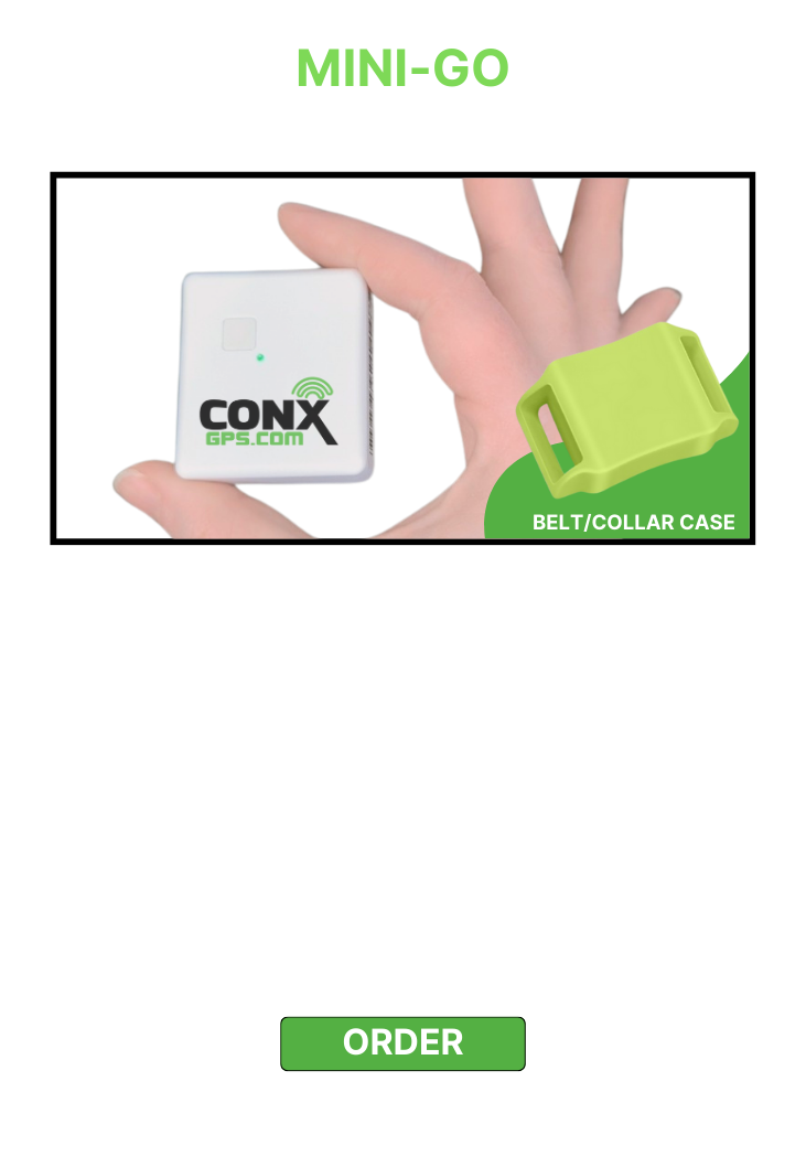 966-front-page-conx-gps-current-6-1741296389102.png